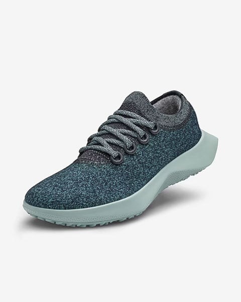 Blue Allbirds Men's Wool Dasher Mizzles