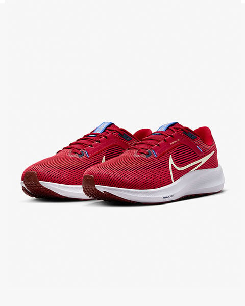 Nike Pegasus 40