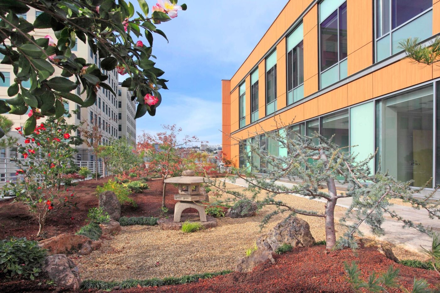 the UCSF Osher Center