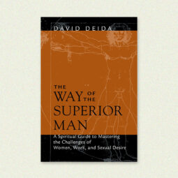 The Way Of The Superior Man – David Deida Book